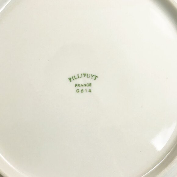 PILLIVUYT France Molling Porcelain Virginie Side Plates Set Of 2 7.75" Botanical - Picture 11 of 12